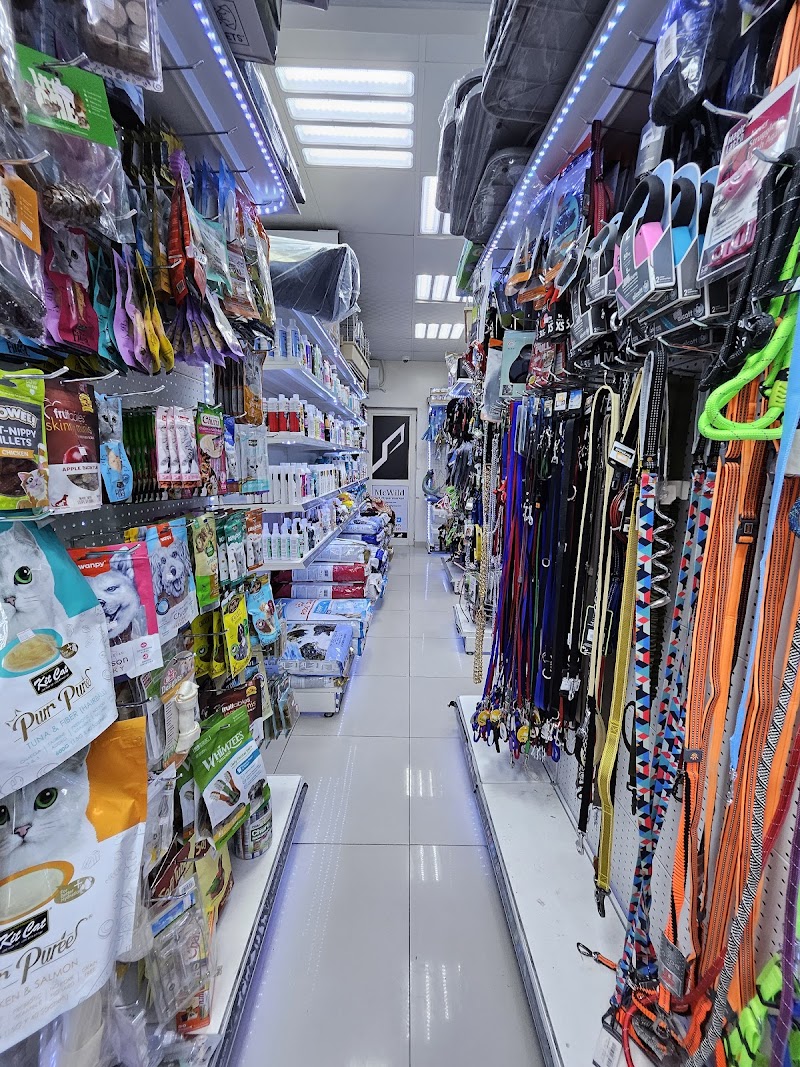 تصویر شماره 7