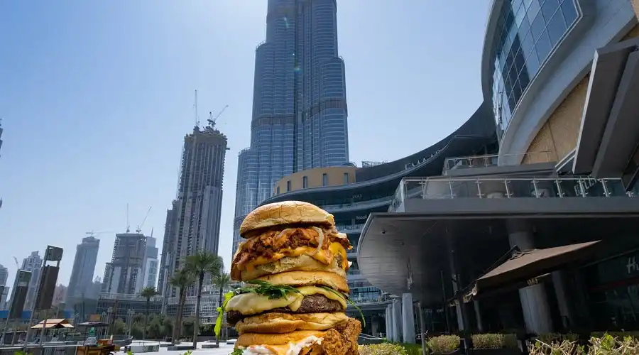 تصویر شماره 1