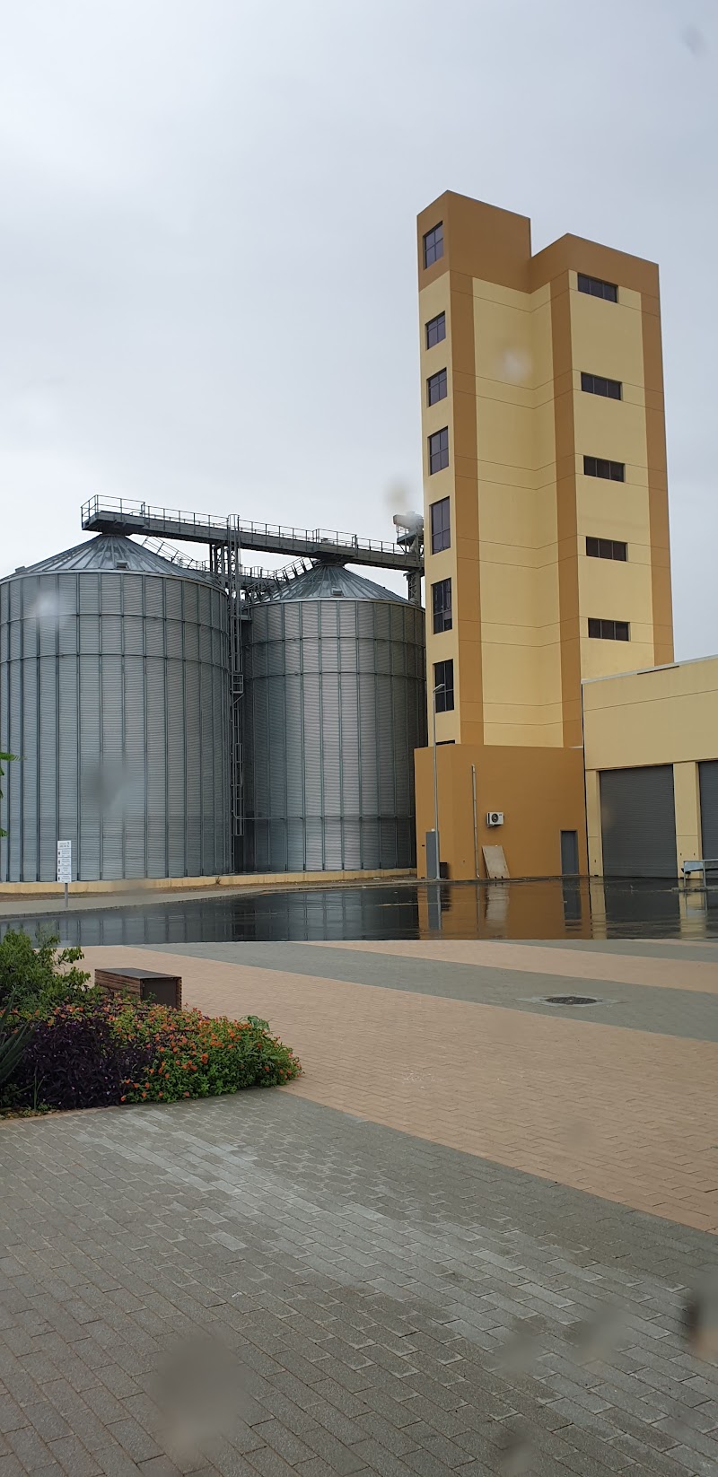 تصویر شماره 4