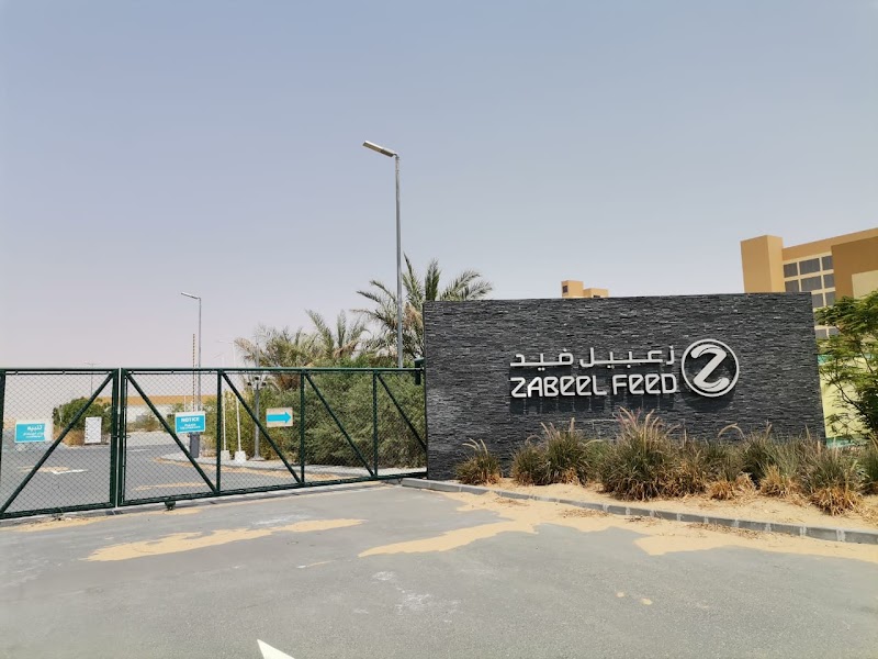 تصویر شماره 8