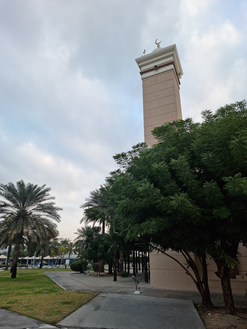 تصویر شماره 5