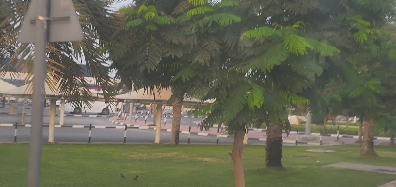 تصویر شماره 8