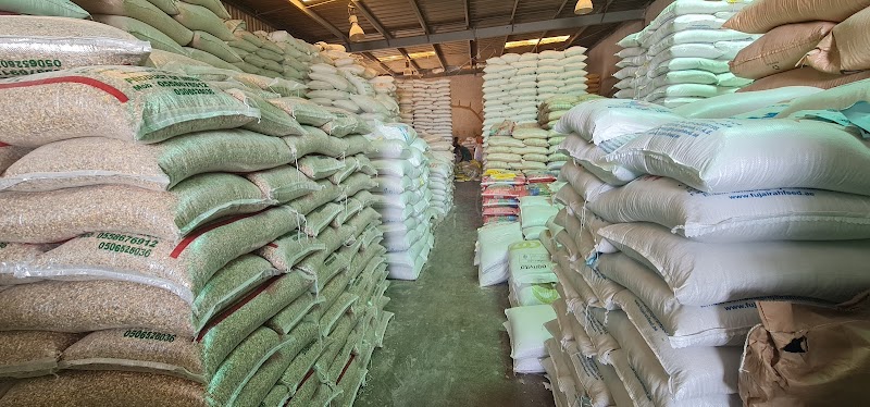 تصویر شماره 1