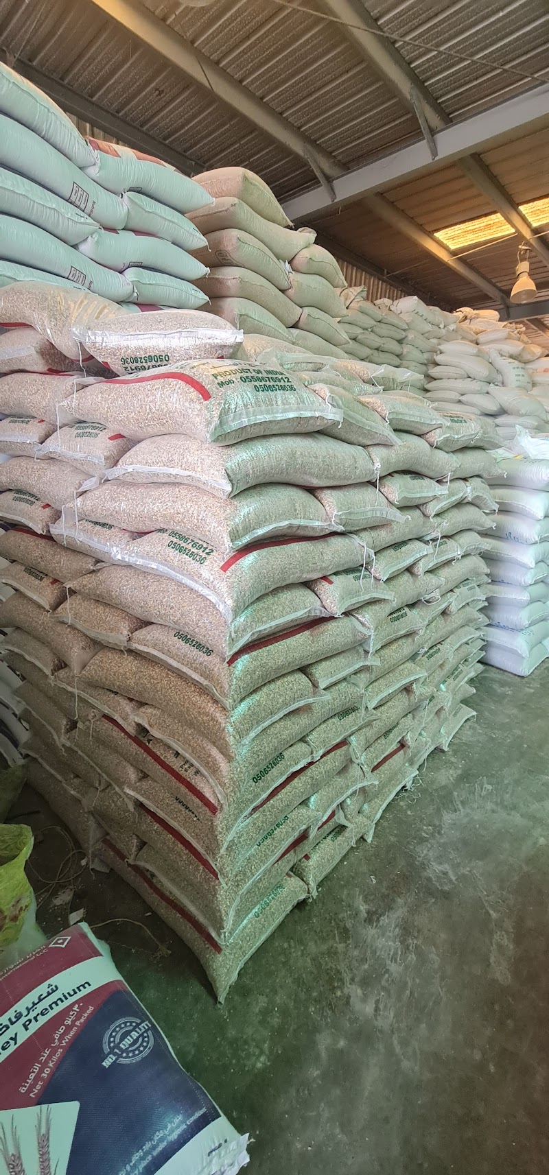 تصویر شماره 3