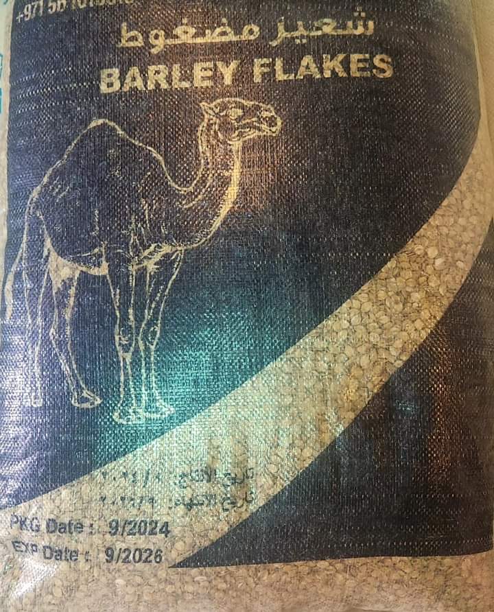 تصویر شماره 5