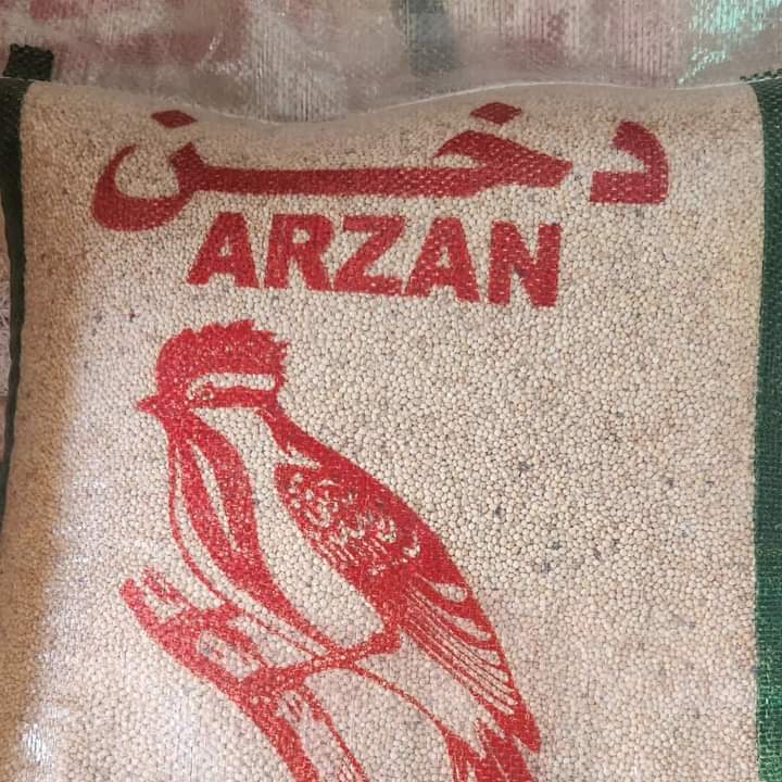 تصویر شماره 6