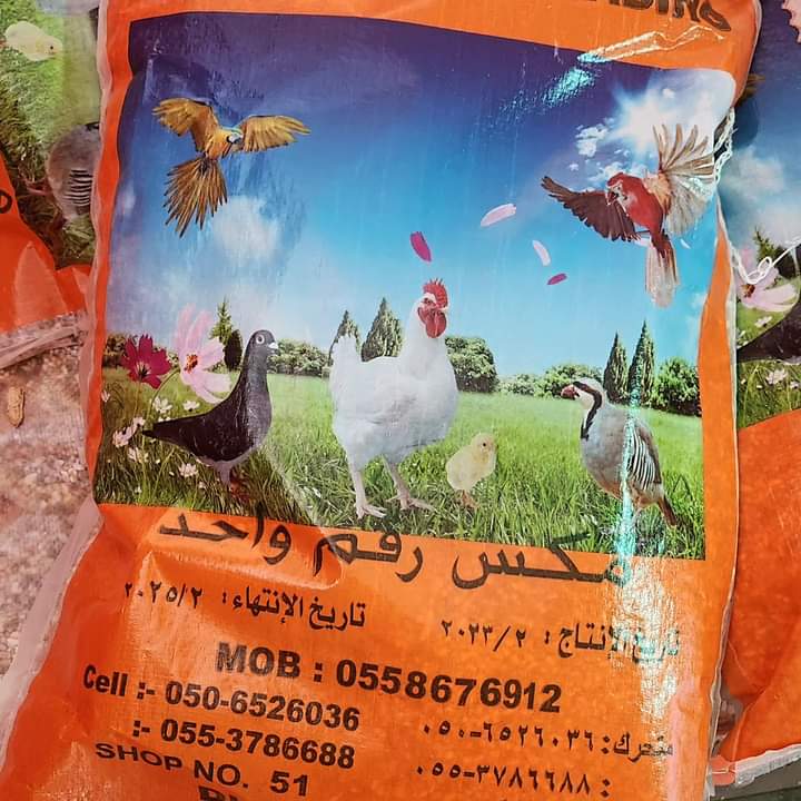 تصویر شماره 8