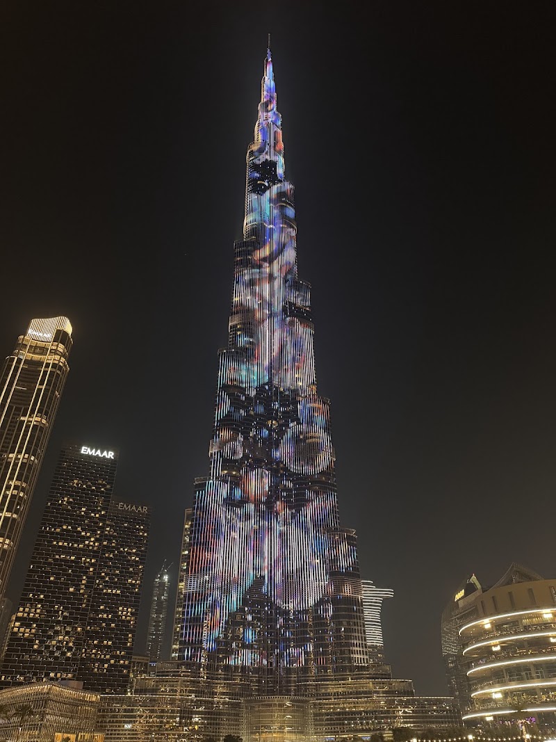 تصویر شماره 8