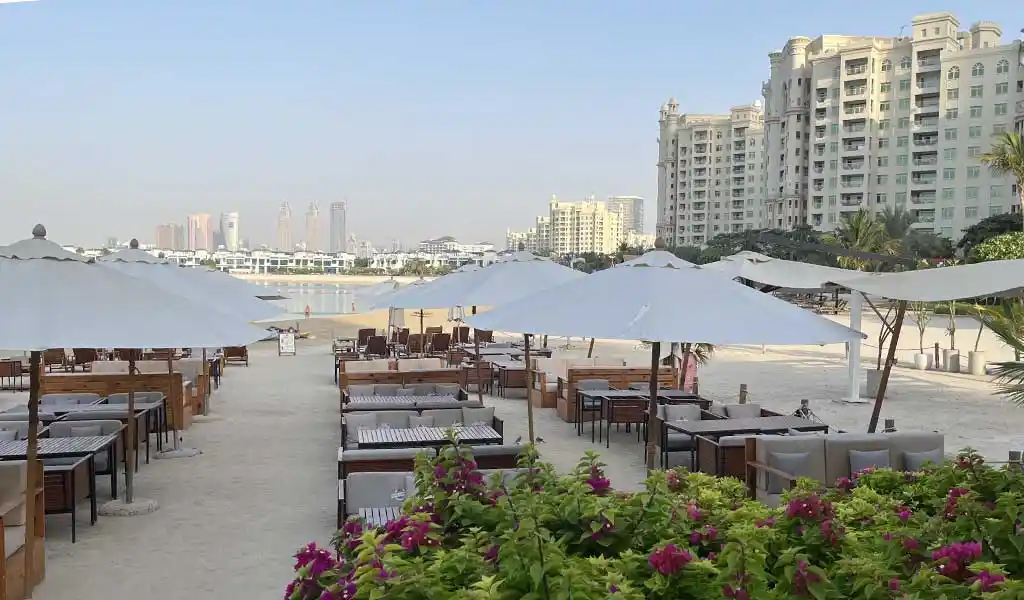 تصویر شماره 4