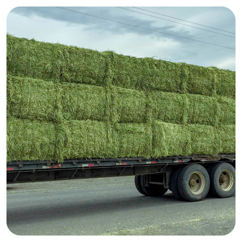 تصویر شماره 9