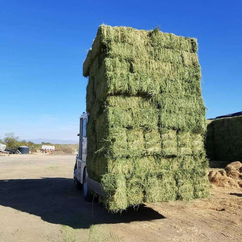 تصویر شماره 1