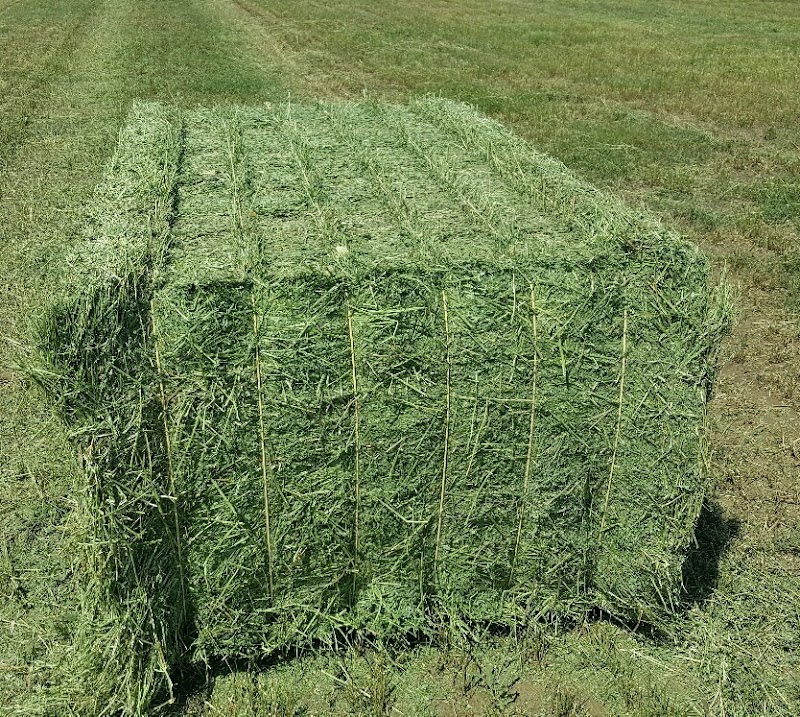 تصویر شماره 5