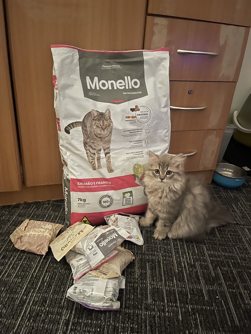 تصویر شماره 9