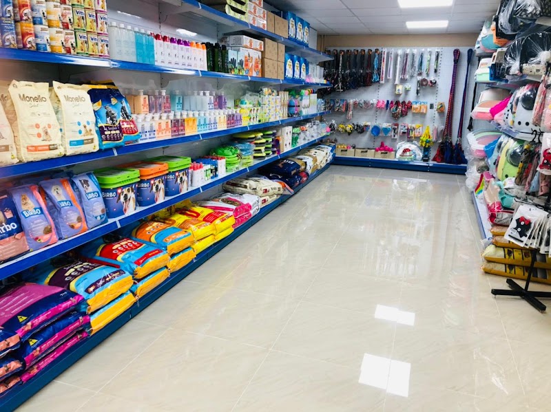 تصویر شماره 2