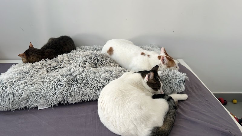 تصویر شماره 4