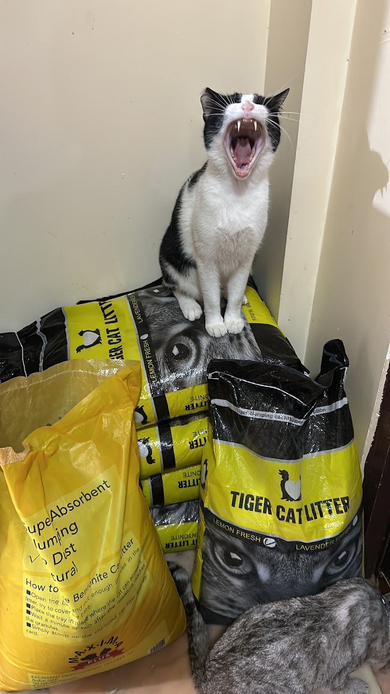 تصویر شماره 5