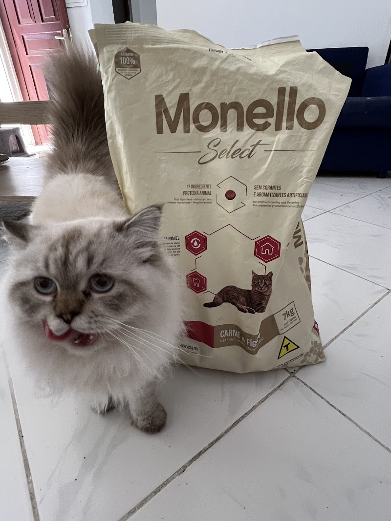 تصویر شماره 6