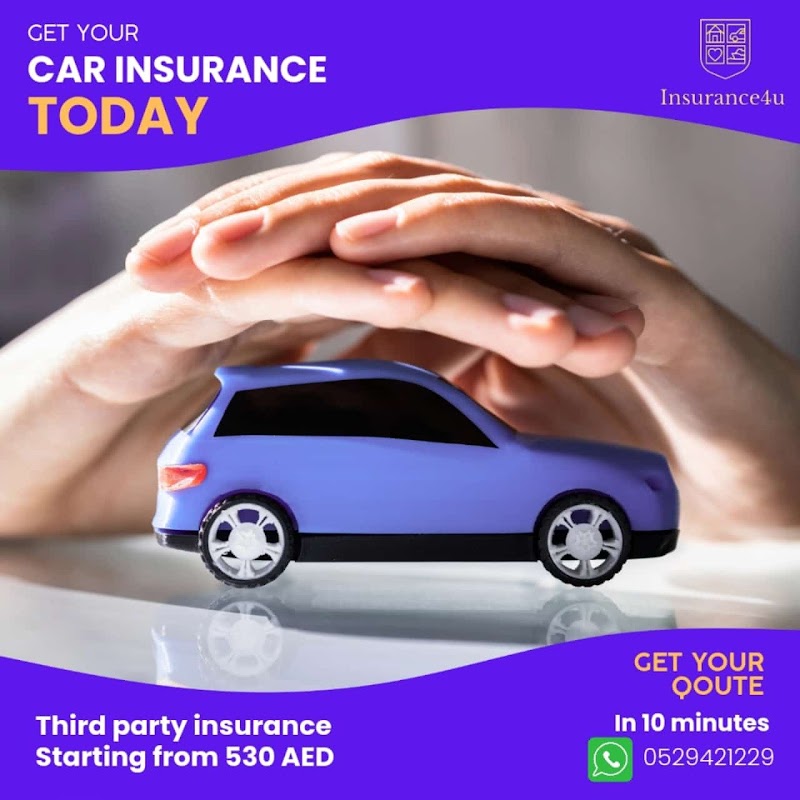 تصویر شماره 6