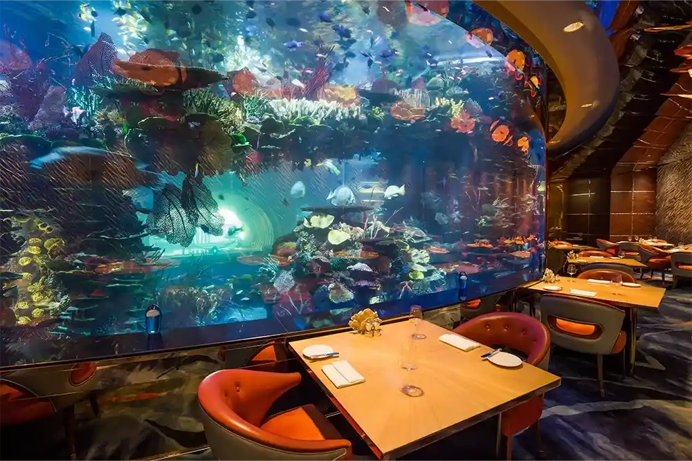 تصویر شماره 2