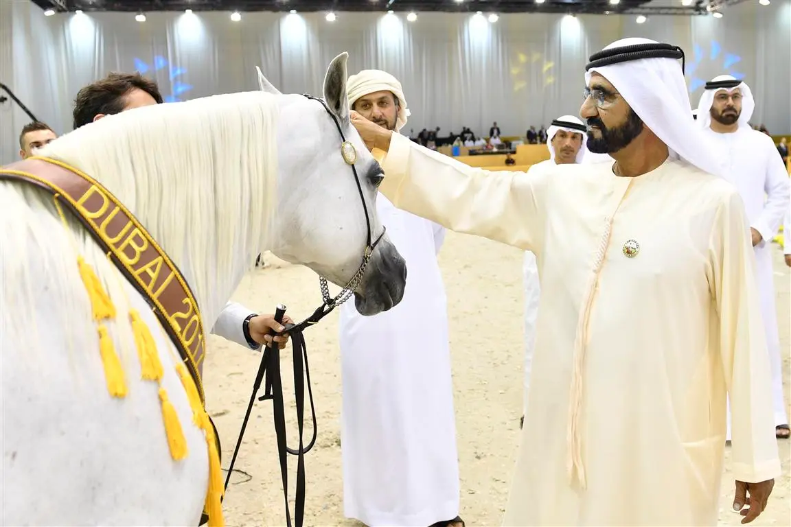 معرض دبي الدولي للخيول العربية