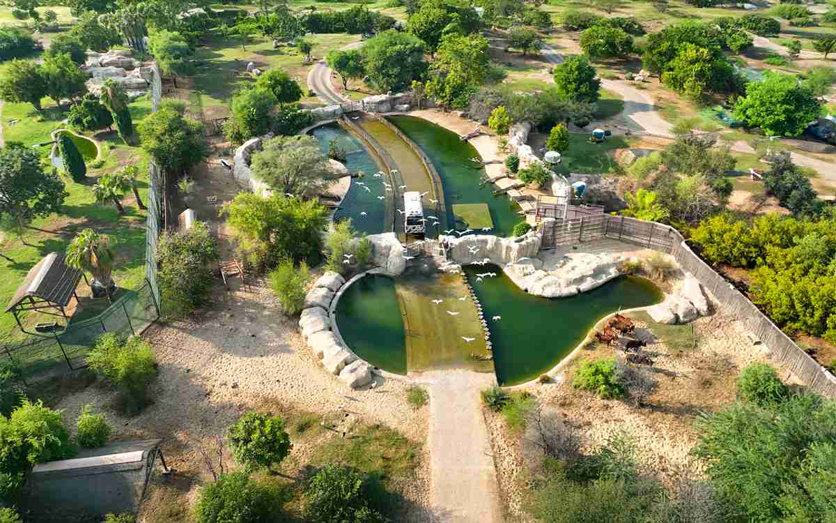 نحوه دسترسی به Dubai Safari Park