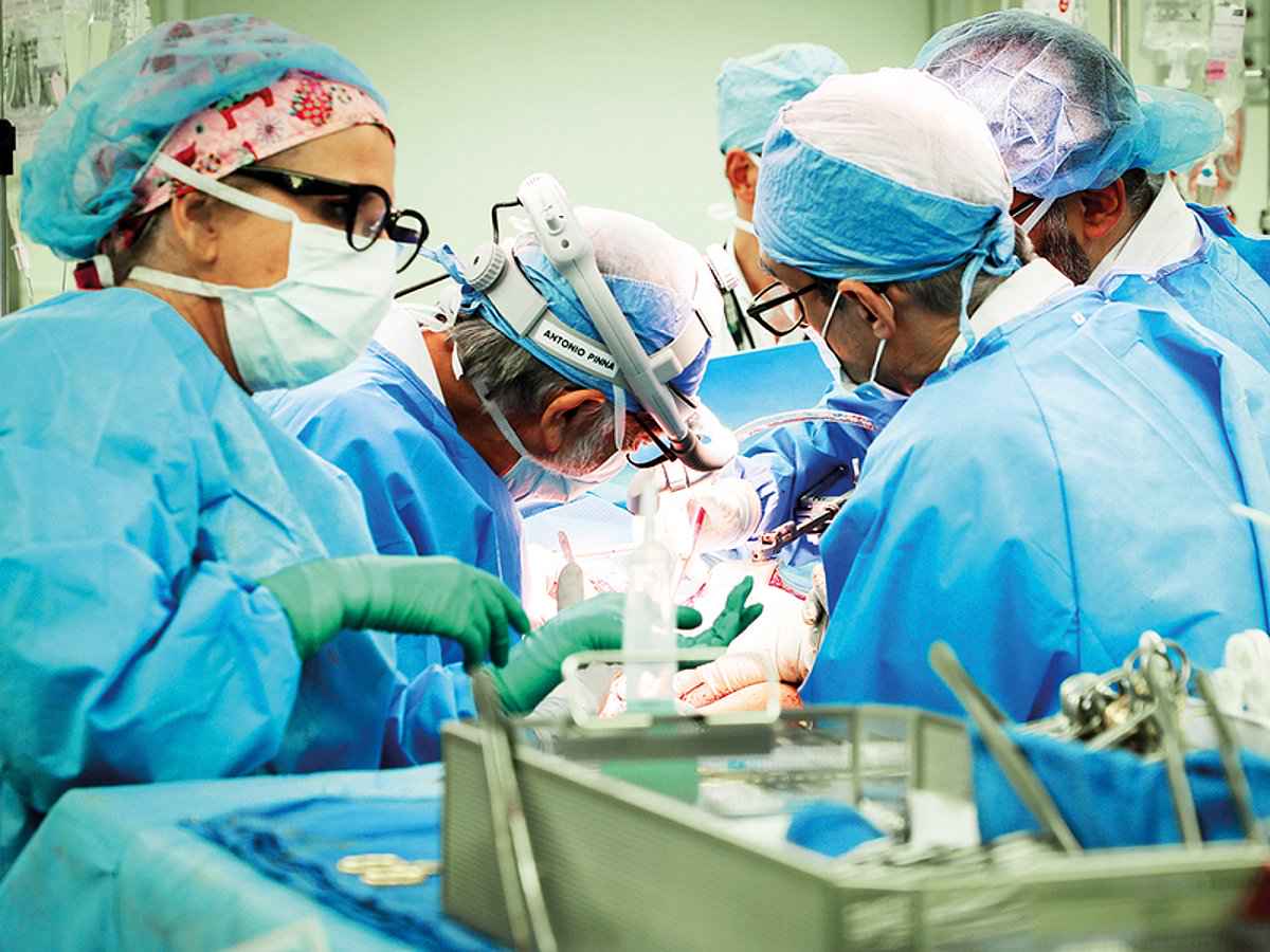 امارات متحده عربی: پیوند اعضای حیوانی مجاز شد