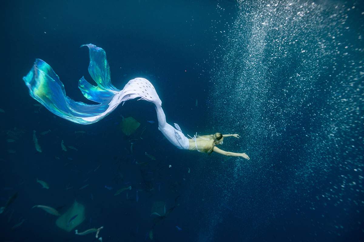 迪拜亚特兰蒂斯正在为失落的世界水族馆寻找全职美人鱼